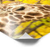 Giraffen und Blätter Fotodruck (Ecke)