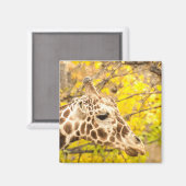Giraffen und Blätter Magnet (Vorderseite/Rückseite)