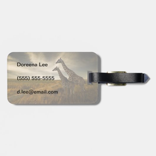 Giraffen und die Landschaft Gepäckanhänger (Rückseite horizontal)