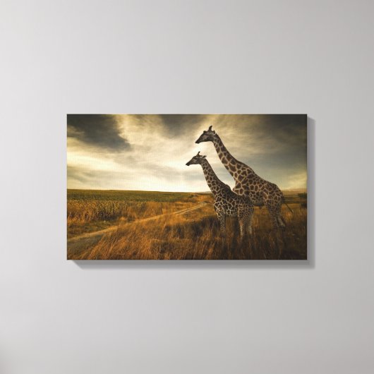 Giraffen und die Landschaft Leinwanddruck (Vorderseite)