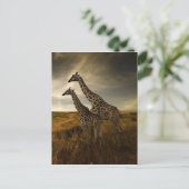 Giraffen und die Landschaft Postkarte (Stehend Vorderseite)