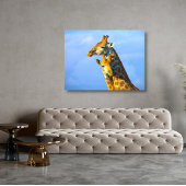 Giraffen unter blauem Himmel Gerahmte Leinwand