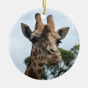 Giraffen-Verzierung Keramikornament