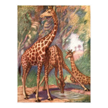 Giraffen von Louis Sargent, Vintage afrikanische T