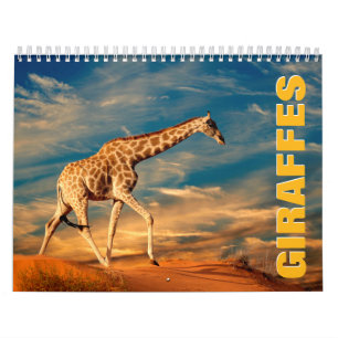 Giraffen Wall Calendar Kalender