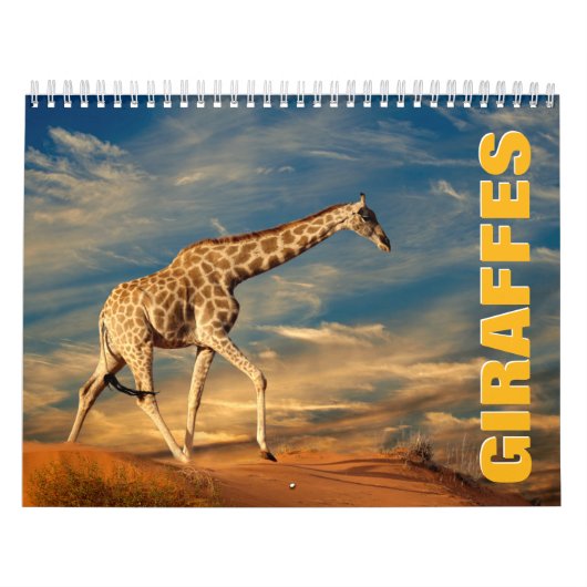 Giraffen Wall Calendar Kalender (Titelbild)