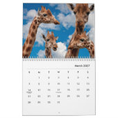 Giraffen Wall Calendar Kalender (Mär 2027)