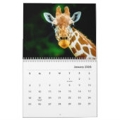 Giraffen Wall Calendar Kalender (Jan 2026)