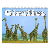 Giraffen-Wandkalender Kalender (Titelbild)