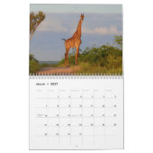 Giraffen-Wandkalender Kalender (Mär 2027)
