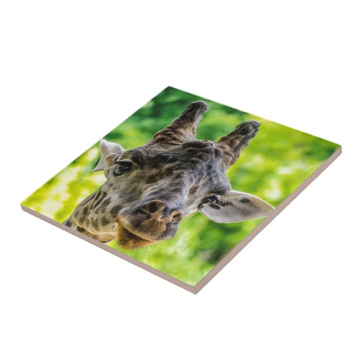 Giraffen-Wimpern Fliese (Seite)