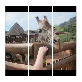 Giraffen-Zoo fütternd, personifizieren Sie der Triptychon