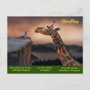 Giraffenarten sind nun gefährdet - feiertagspostkarte