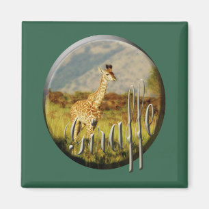 Giraffenbabytier-Safarimagneten Magnet