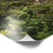 Giraffenblick Fotodruck (Ecke)