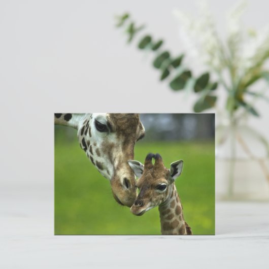 Giraffendesign Postkarte (Stehend Vorderseite)