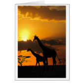 Giraffenfamilie 2 (Vorne)