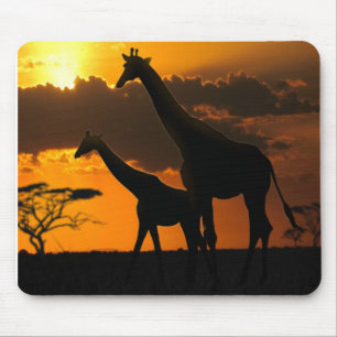 Giraffenfamilie 2 mousepad