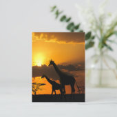 Giraffenfamilie 2 postkarte (Stehend Vorderseite)