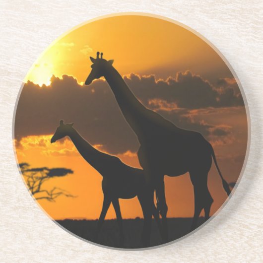 Giraffenfamilie 2 sandstein untersetzer (Vorne)