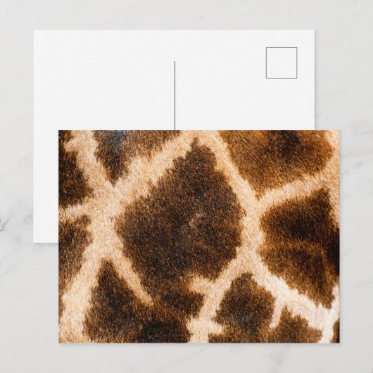Giraffenfellmuster Postkarte (Vorne/Hinten)