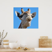 Giraffenfotografie Poster (Küche)