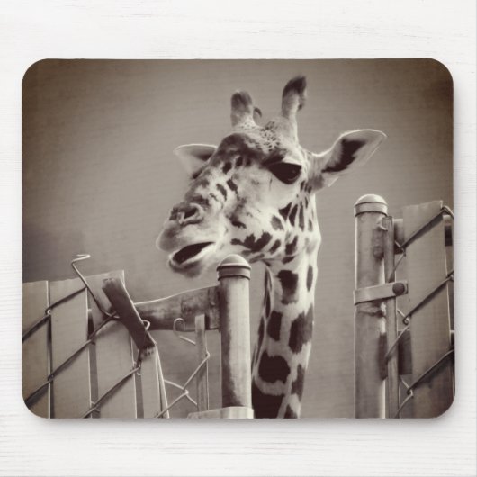 Giraffenfotografie - Vintager Stil Mousepad (Vorne)