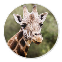 Giraffengriff Keramikknauf