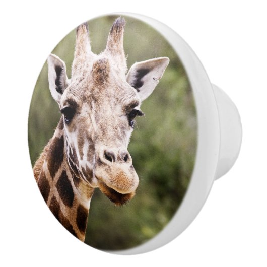 Giraffengriff Keramikknauf (Rechts)