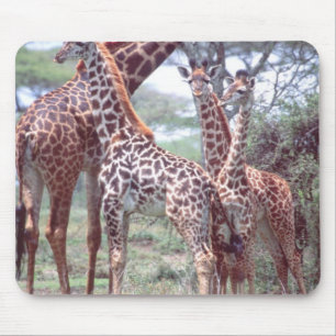 Giraffengruppe oder -herde mit Jungen, Giraffa Mousepad