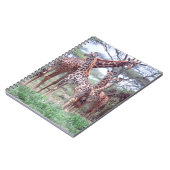 Giraffengruppe oder -herde mit Jungen, Giraffa Notizblock (Linke Seite)