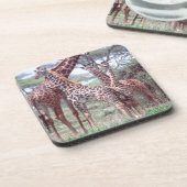 Giraffengruppe oder Herde w/ Young, Giraffa Getränkeuntersetzer (Linke Seite)