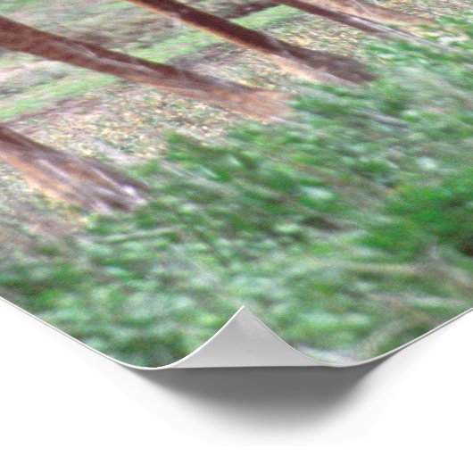 Giraffengruppe oder Herde w/ Young, Giraffa Poster (Ecke)