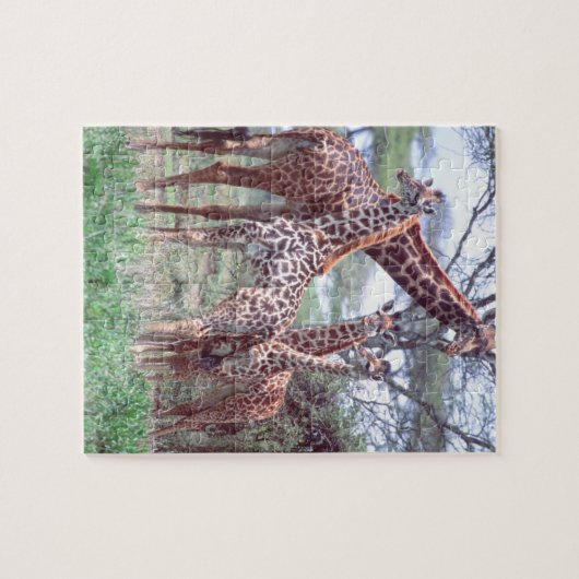 Giraffengruppe oder Herde w/ Young, Giraffa Puzzle (Horizontal)