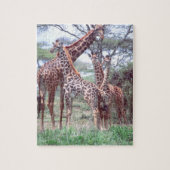 Giraffengruppe oder Herde w/ Young, Giraffa Puzzle (Vertikal)