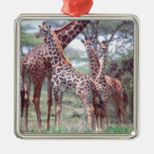 Giraffengruppe oder Herde w/ Young, Giraffa Silbernes Ornament (Vorne)