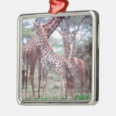 Giraffengruppe oder Herde w/ Young, Giraffa Silbernes Ornament (Links)