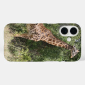 Giraffenhals Case-Mate iPhone Hülle (Rückseite (Horizontal))
