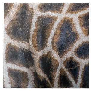 Giraffenhautmuster in nahen Keramiken Fliese