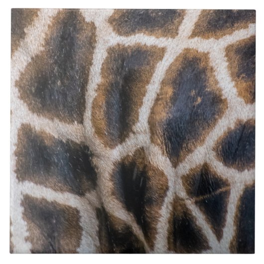 Giraffenhautmuster in nahen Keramiken Fliese (Vorderseite)