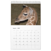 Giraffenkalender Kalender (Mär 2027)