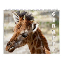 Giraffenkalender