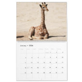 Giraffenkalender Kalender (Jan 2026)