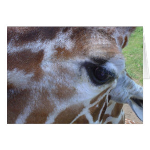 Giraffenkarte!
