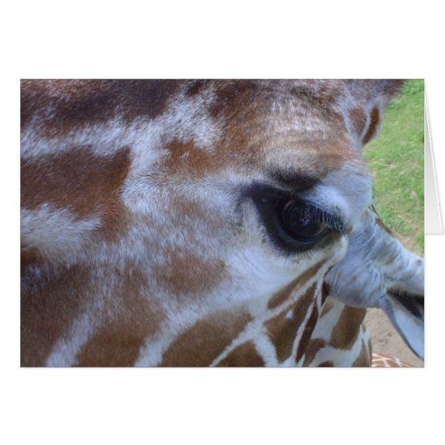 Giraffenkarte! (Vorderseite (Horizontal))