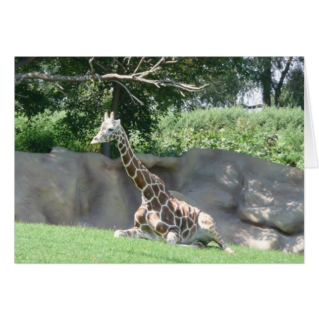 Giraffenkarte (Vorderseite (Horizontal))