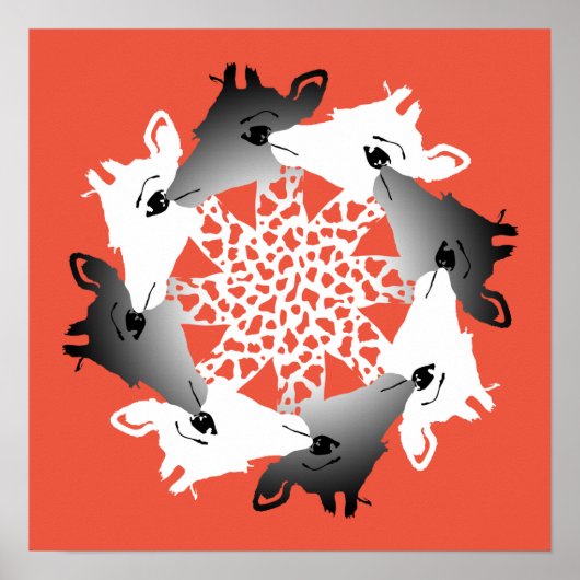 Giraffenkreis Poster (Vorne)