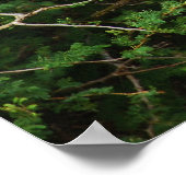 Giraffenmauer und -bilder poster (Ecke)