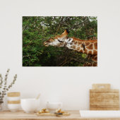 Giraffenmauer und -bilder poster (Küche)