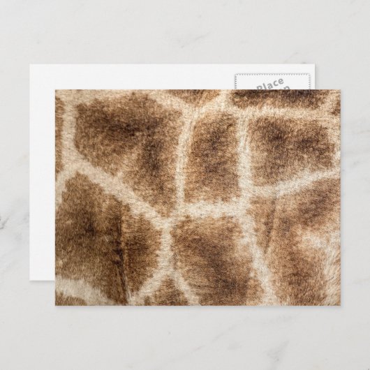 Giraffenmuster Postkarte (Vorne/Hinten)